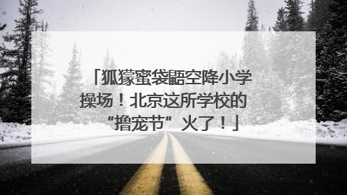狐獴蜜袋鼯空降小学操场！北京这所学校的“撸宠节”火了！