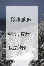 狠抓队伍督察，提升执法效能