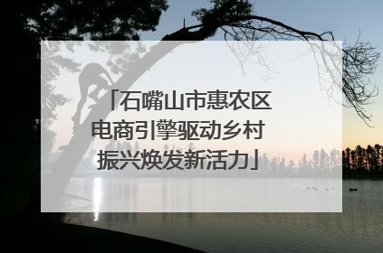 石嘴山市惠农区电商引擎驱动乡村振兴焕发新活力