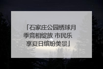 石家庄公园绣球月季竞相绽放 市民乐享夏日缤纷美景