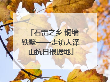 石雷之乡 铜墙铁壁——走访大泽山抗日根据地