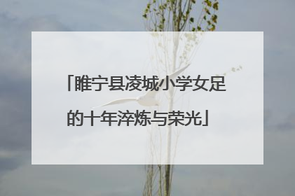 睢宁县凌城小学女足的十年淬炼与荣光