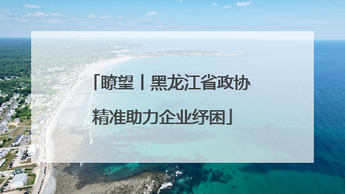瞭望丨黑龙江省政协精准助力企业纾困