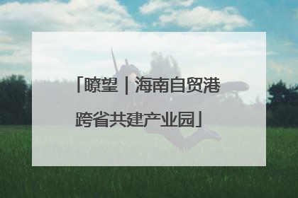 瞭望｜海南自贸港跨省共建产业园