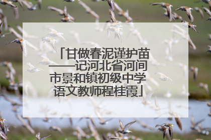 甘做春泥谨护苗——记河北省河间市景和镇初级中学语文教师程桂霞