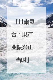 甘肃灵台：果产业振兴正当时