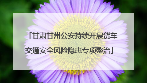 甘肃甘州公安持续开展货车交通安全风险隐患专项整治