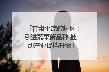 甘肃平凉崆峒区：引进蔬菜新品种 推动产业提档升级