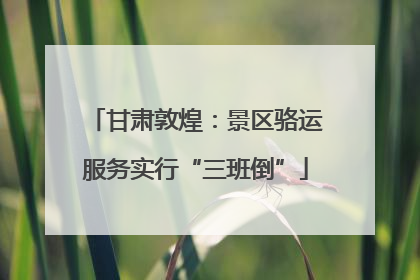甘肃敦煌：景区骆运服务实行“三班倒”