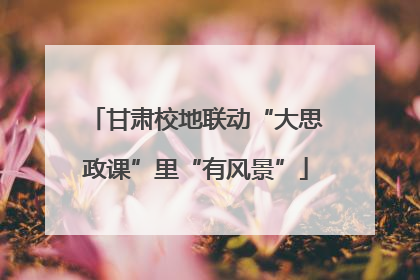 甘肃校地联动“大思政课”里“有风景”