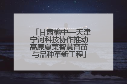 甘肃榆中—天津宁河科技协作推动高原夏菜智慧育苗与品种革新工程