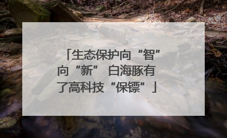 生态保护向“智”向“新” 白海豚有了高科技“保镖”