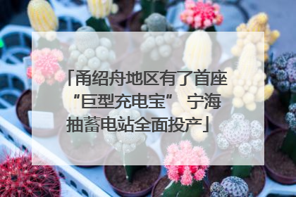 甬绍舟地区有了首座“巨型充电宝” 宁海抽蓄电站全面投产