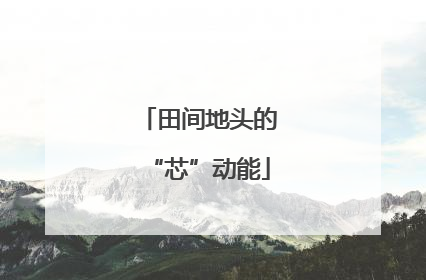 田间地头的“芯”动能