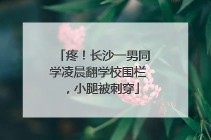 疼！长沙一男同学凌晨翻学校围栏，小腿被刺穿