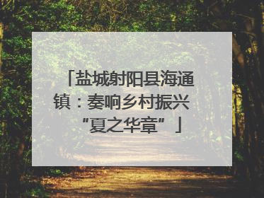 盐城射阳县海通镇：奏响乡村振兴“夏之华章”
