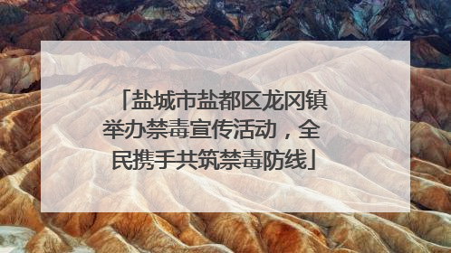 盐城市盐都区龙冈镇举办禁毒宣传活动，全民携手共筑禁毒防线