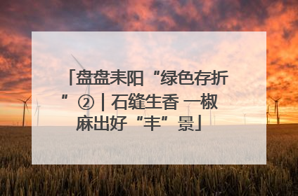 盘盘耒阳“绿色存折”②｜石缝生香 一椒麻出好“丰”景