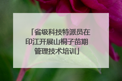 省级科技特派员在印江开展山桐子苗期管理技术培训