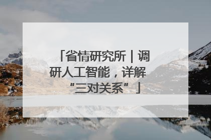 省情研究所｜调研人工智能，详解“三对关系”