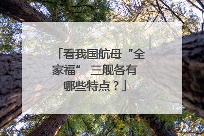 看我国航母“全家福” 三舰各有哪些特点？