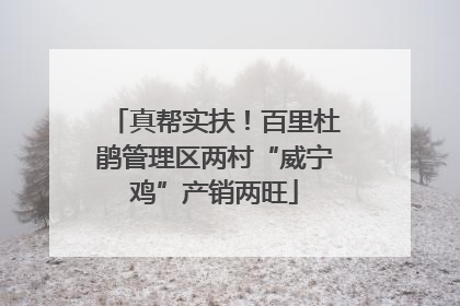 真帮实扶！百里杜鹃管理区两村“威宁鸡”产销两旺