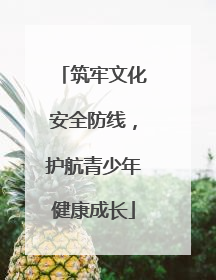 筑牢文化安全防线，护航青少年健康成长