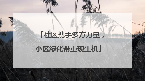 社区携手多方力量，小区绿化带重现生机