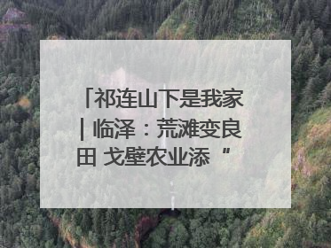 祁连山下是我家｜临泽：荒滩变良田 戈壁农业添“绿”生“金”