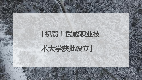祝贺！武威职业技术大学获批设立