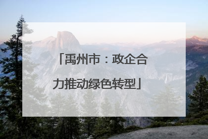 禹州市：政企合力推动绿色转型