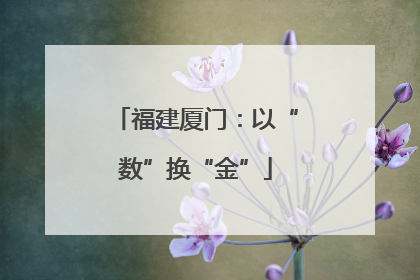 福建厦门：以“数”换“金”