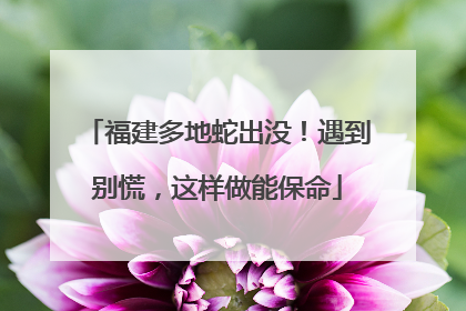 福建多地蛇出没！遇到别慌，这样做能保命