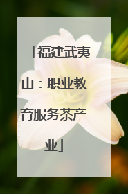 福建武夷山：职业教育服务茶产业