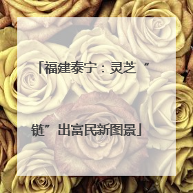 福建泰宁：灵芝“链”出富民新图景