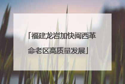 福建龙岩加快闽西革命老区高质量发展