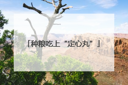 种粮吃上“定心丸”
