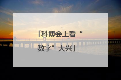 科博会上看“数字”大兴