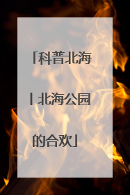 科普北海丨北海公园的合欢