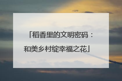 稻香里的文明密码：和美乡村绽幸福之花