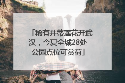 稀有并蒂莲花开武汉，今夏全城28处公园点位可赏荷