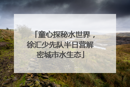 童心探秘水世界，徐汇少先队半日营解密城市水生态