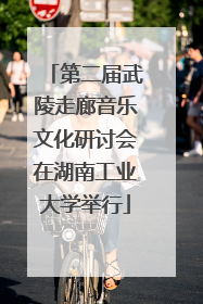 第二届武陵走廊音乐文化研讨会在湖南工业大学举行