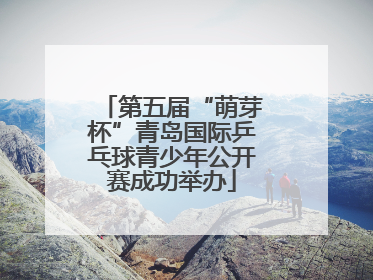 第五届“萌芽杯”青岛国际乒乓球青少年公开赛成功举办