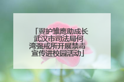 翼护雏鹰助成长 武汉市司法局何湾强戒所开展禁毒宣传进校园活动