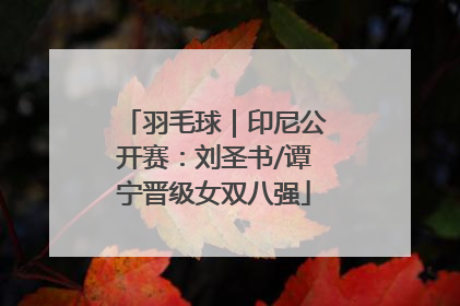 羽毛球｜印尼公开赛：刘圣书/谭宁晋级女双八强