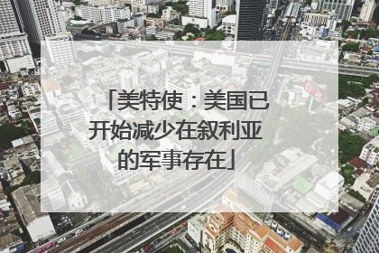 美特使：美国已开始减少在叙利亚的军事存在