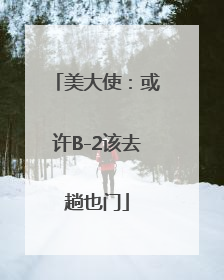 美大使：或许B-2该去趟也门