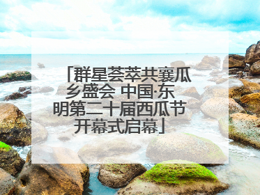 群星荟萃共襄瓜乡盛会 中国·东明第二十届西瓜节开幕式启幕