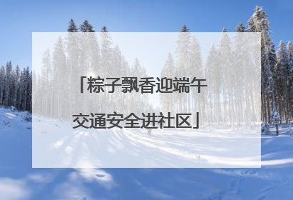 粽子飘香迎端午 交通安全进社区